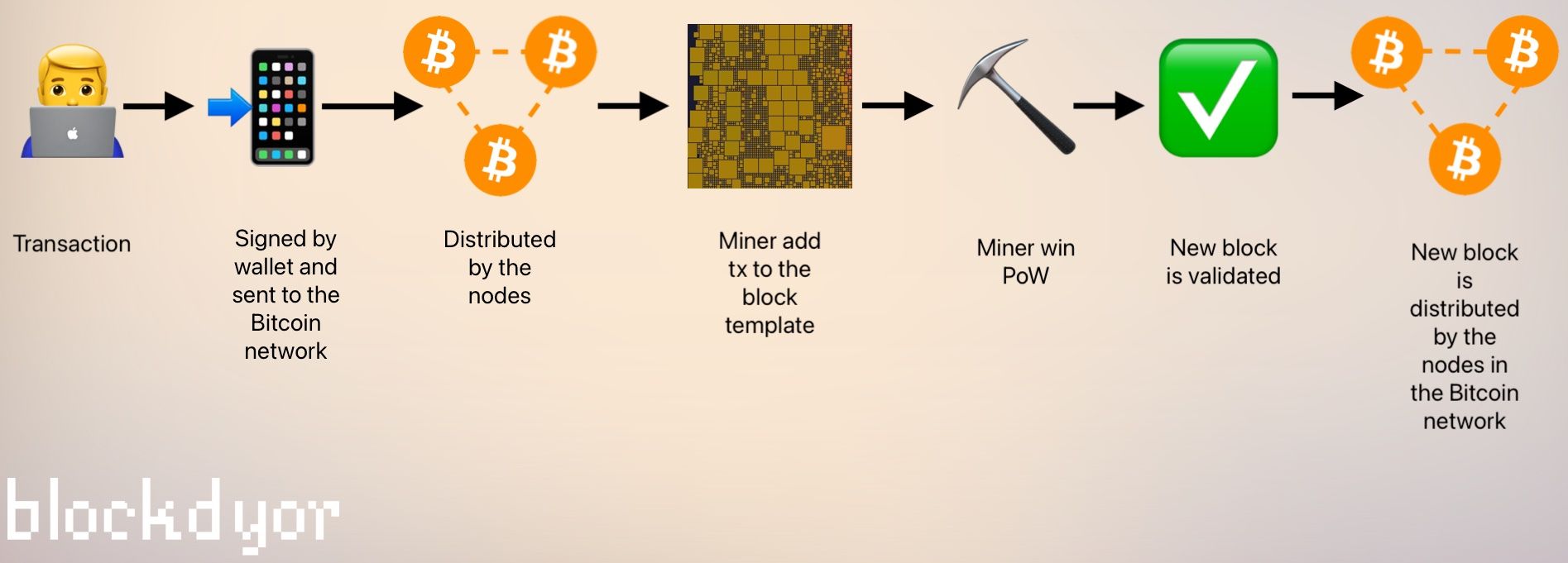 Bitcoin Transaction Flow