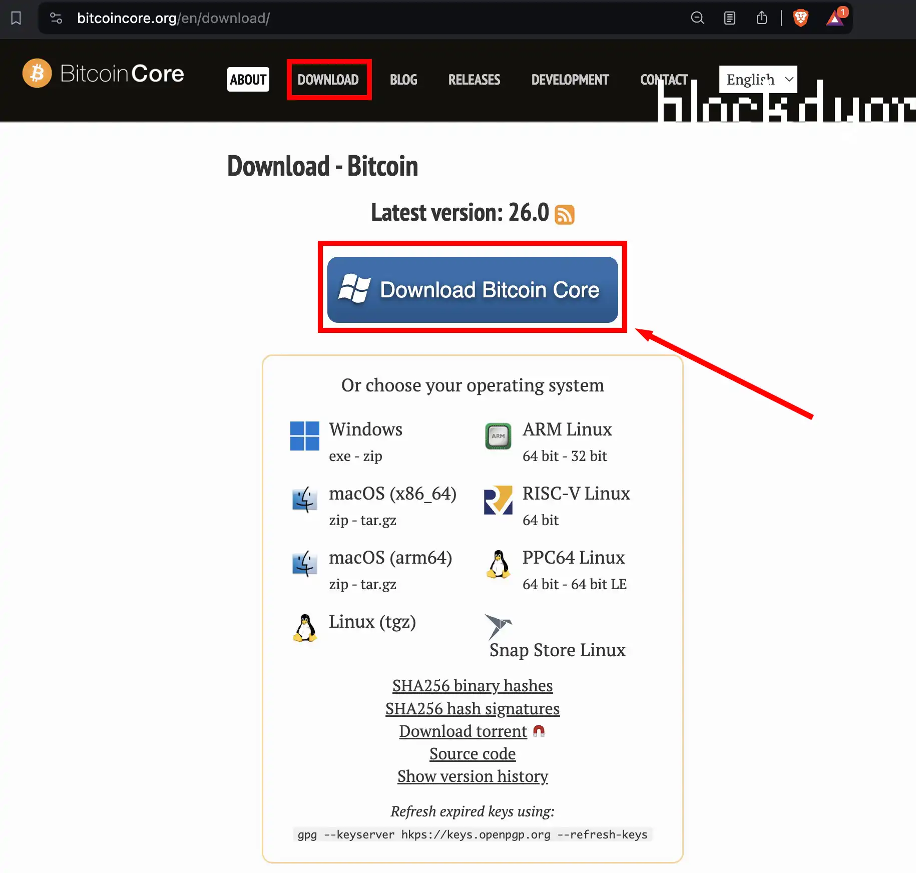 How To Download & Install Bitcoin Core Step 1