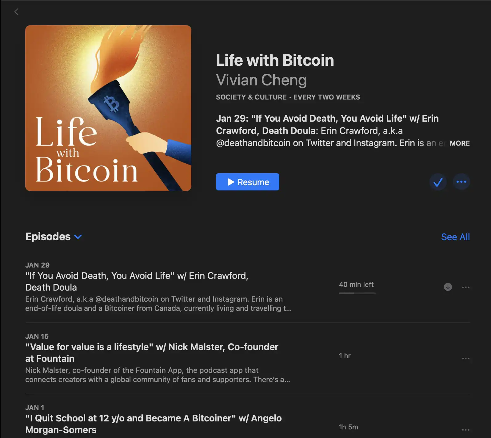 Life With Bitcoin by Vivian Cheng Podcast