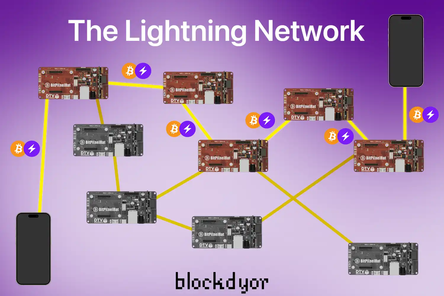 The Lightning Network