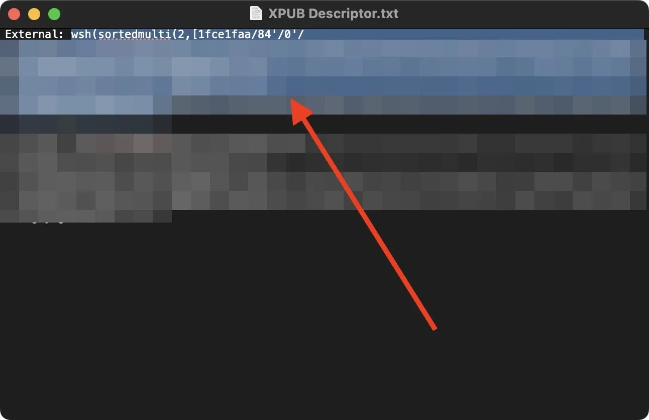 Importing the XPUB Descriptor into Sparrow Wallet Step 1