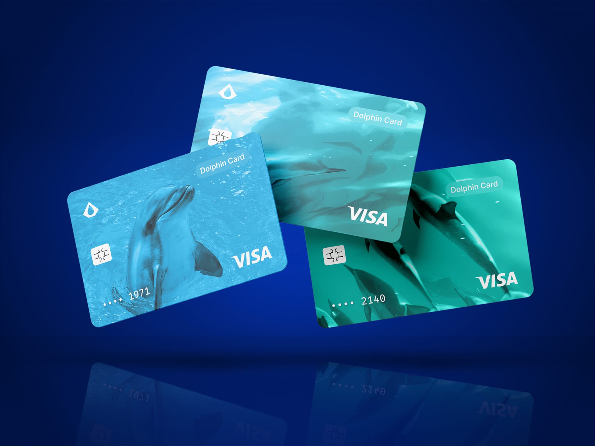 Dolphi Card Graphic 2