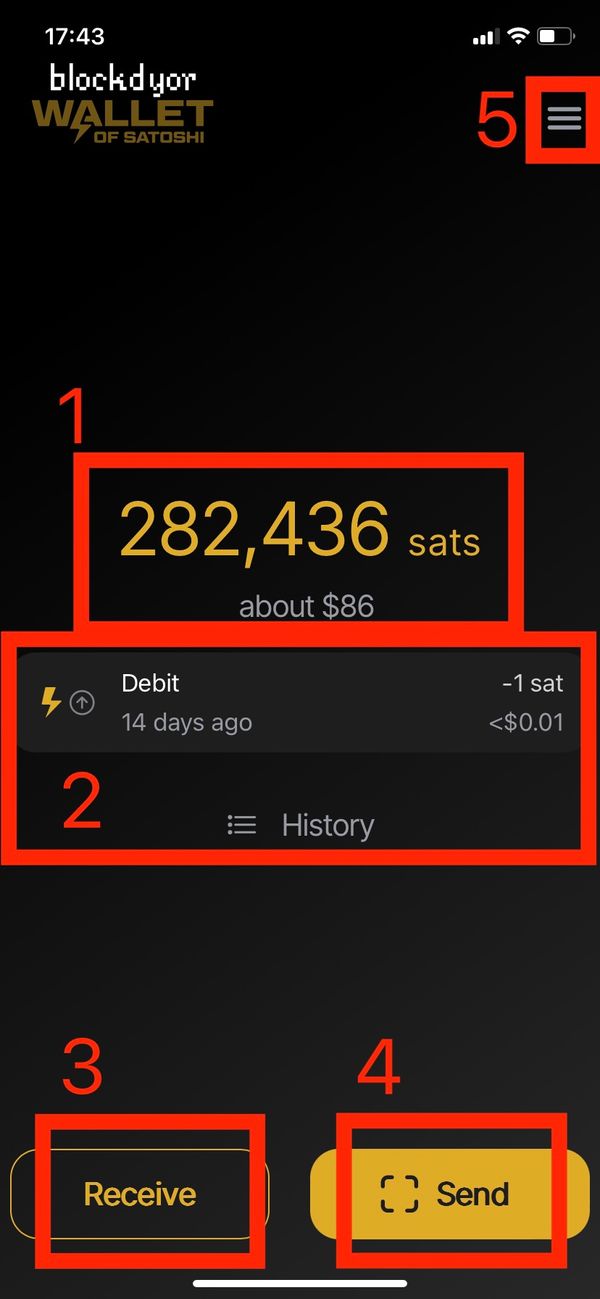 Wallet Of Satoshi Review 2024 Is It Safe?