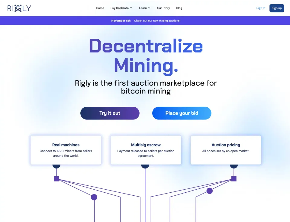 Rigly Review
